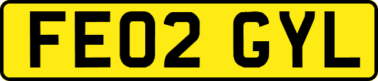 FE02GYL