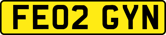 FE02GYN
