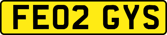 FE02GYS