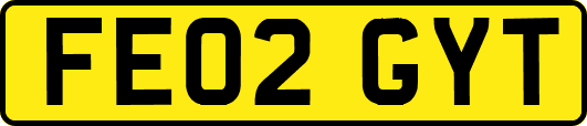 FE02GYT