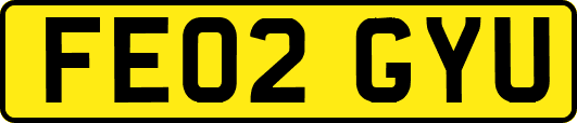 FE02GYU