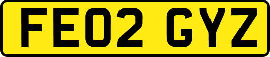 FE02GYZ