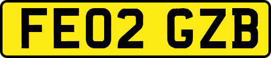 FE02GZB