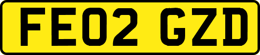 FE02GZD