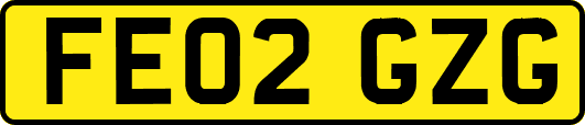 FE02GZG