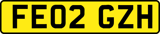 FE02GZH