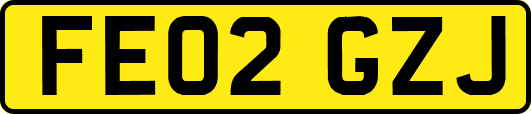 FE02GZJ