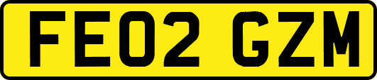 FE02GZM