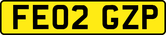FE02GZP