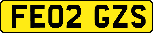 FE02GZS