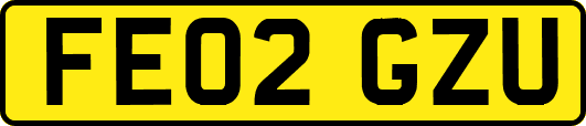FE02GZU