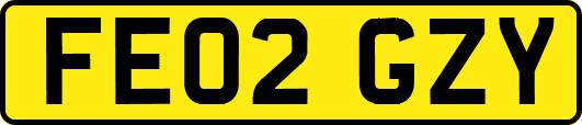 FE02GZY
