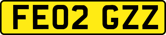 FE02GZZ