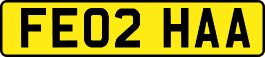 FE02HAA