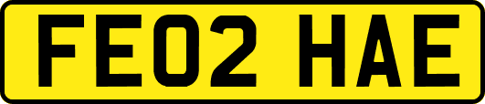 FE02HAE