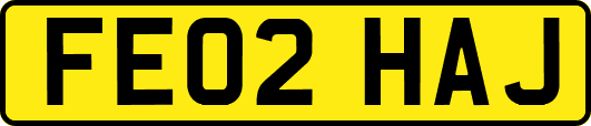 FE02HAJ