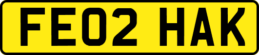 FE02HAK