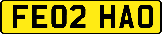 FE02HAO