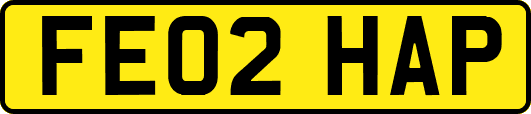 FE02HAP