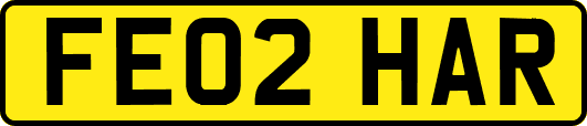 FE02HAR