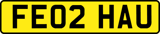FE02HAU