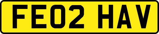 FE02HAV