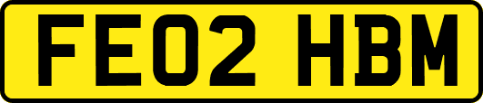 FE02HBM