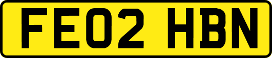 FE02HBN