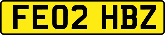 FE02HBZ
