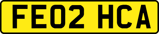 FE02HCA