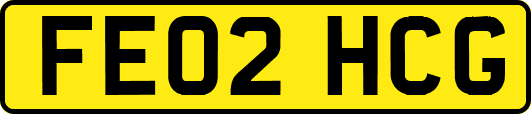 FE02HCG