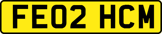 FE02HCM