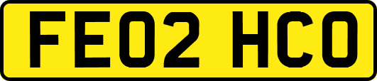 FE02HCO