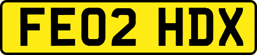 FE02HDX
