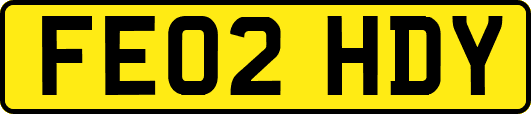 FE02HDY