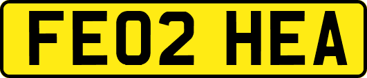 FE02HEA