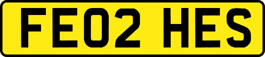 FE02HES