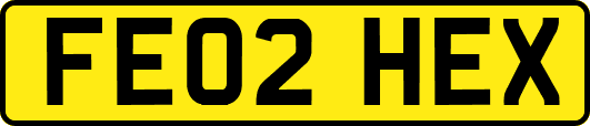 FE02HEX