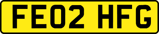 FE02HFG