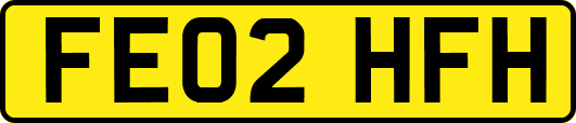 FE02HFH
