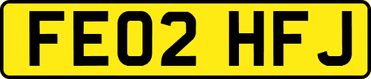 FE02HFJ