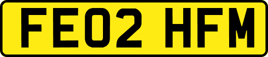 FE02HFM