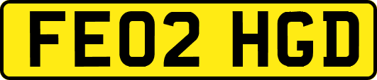 FE02HGD