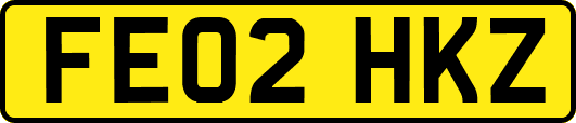 FE02HKZ