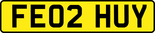 FE02HUY