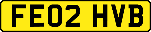 FE02HVB