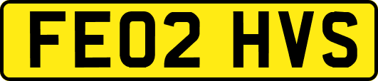 FE02HVS