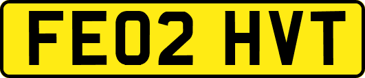 FE02HVT
