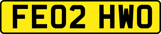 FE02HWO