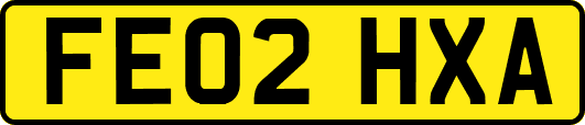 FE02HXA